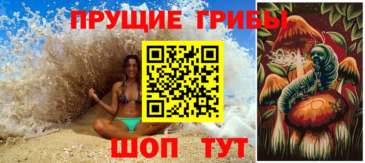 Псилоцибиновые грибы ЛСД  Вход с VPN  Новошахтинск 